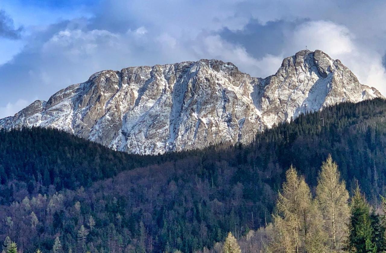Apartament Rysy Apartamentyzakopianskie Basen Sauna Jacuzzi Zakopane Exteriör bild